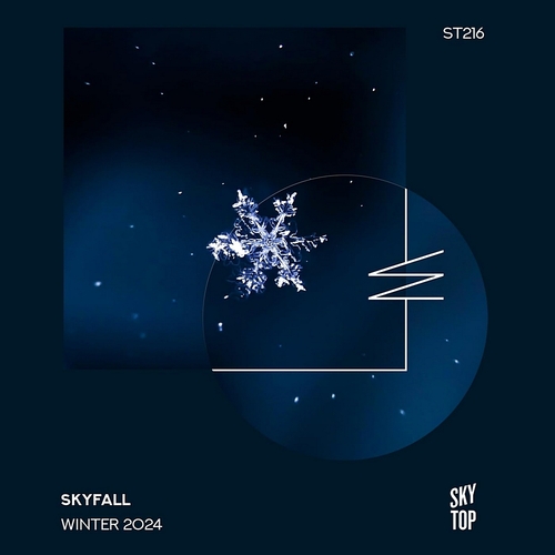 VA - SkyFall Winter 2024 [ST216]